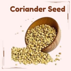 Coriander Seeds