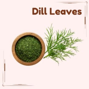 Dill Leaves