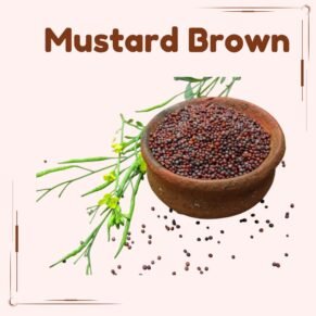 Mustard Brown