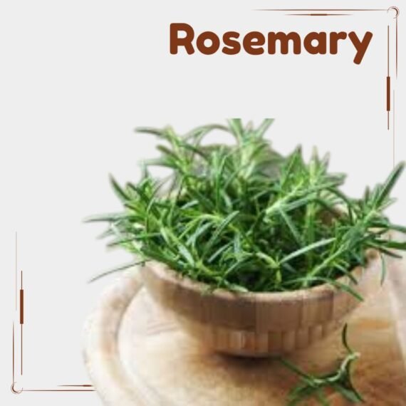 Rosemary